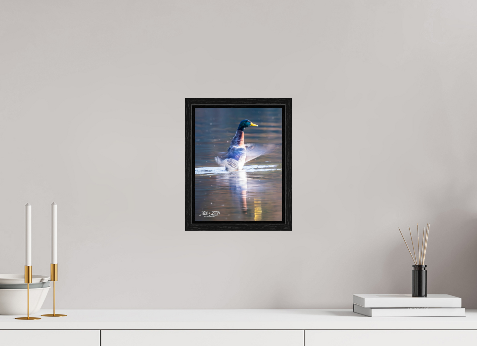 8 x 10.4″, Floater Frame Zillas Zoom Image 448