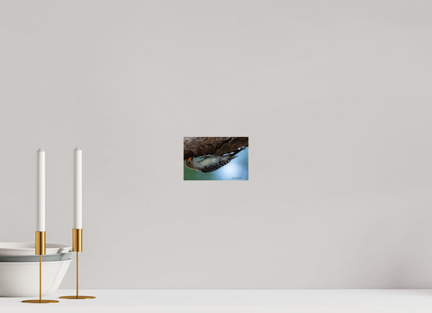 6 x 4″, Photo Print Under Acrylic Glass Zillas Zoom Image 319