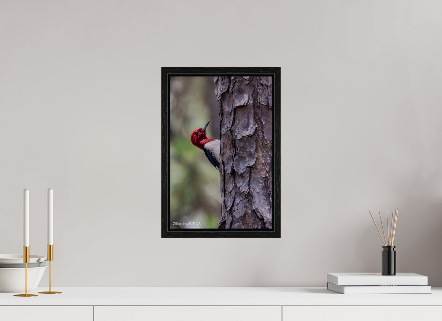 10 x 15″, Floater Frame Zillas Zoom Image 506