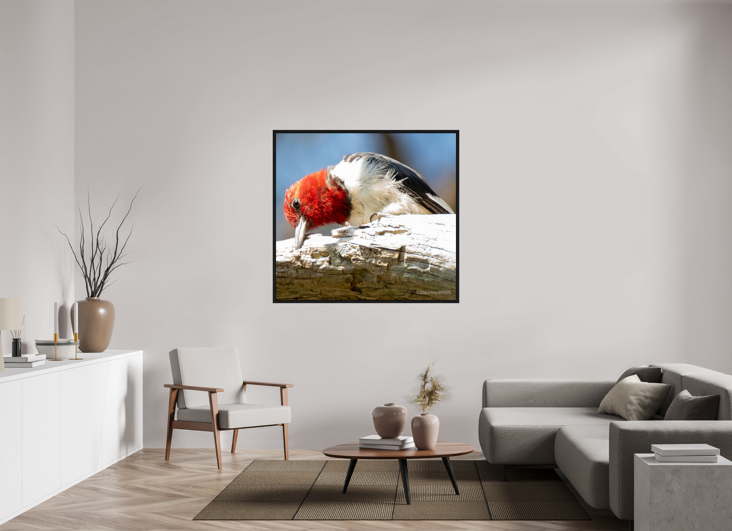 50.7 x 47″, Floater Frame Zillas Zoom Image 270