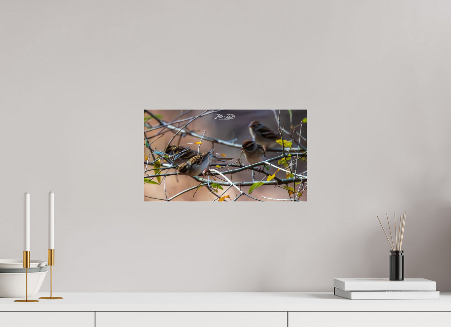 16 x 9″, Photo Print Under Acrylic Glass Zillas Zoom Image 304