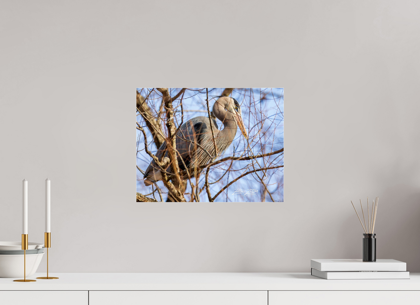 15.5 x 12″, Photo Print Under Acrylic Glass Zillas Zoom Image 363