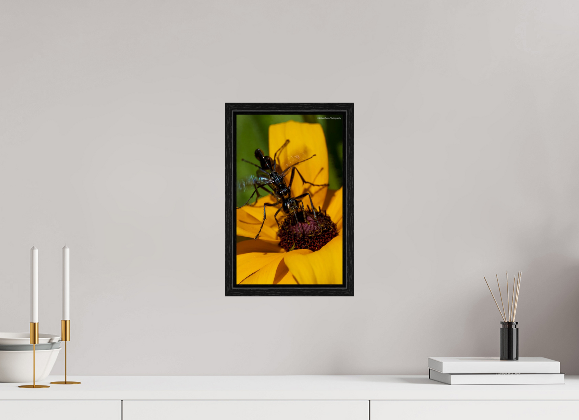 8 x 12.8″, Floater Frame Zillas Zoom Image 108