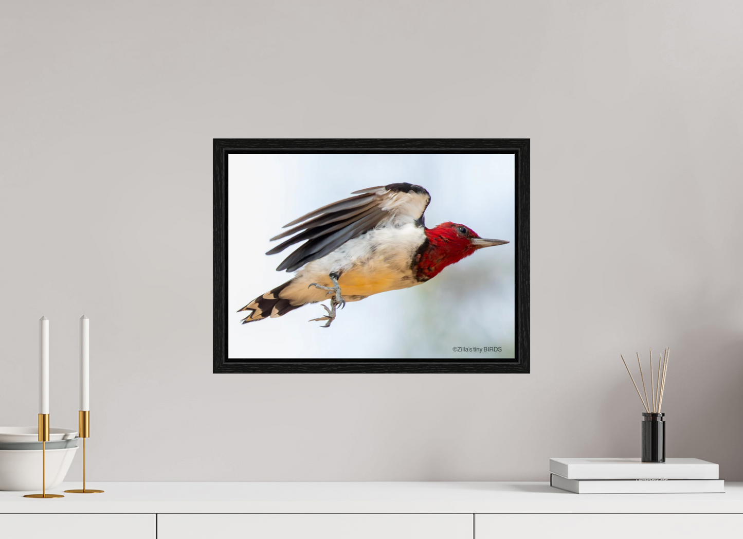 16.8 x 12″, Floater Frame Zillas Zoom Image 325