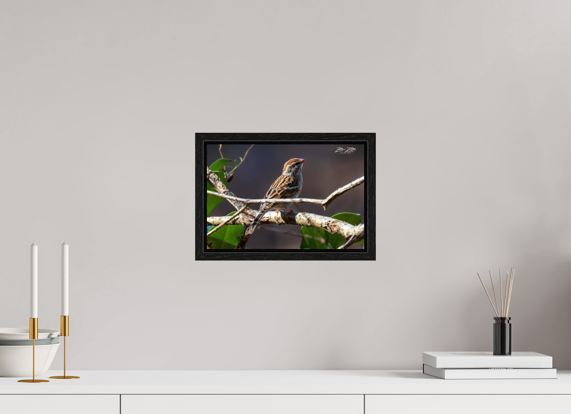 12 x 8″, Floater Frame Zillas Zoom Image 289