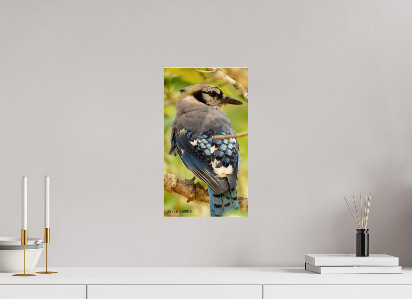 9 x 16″, Photo Print Under Acrylic Glass Zillas Zoom Image 487