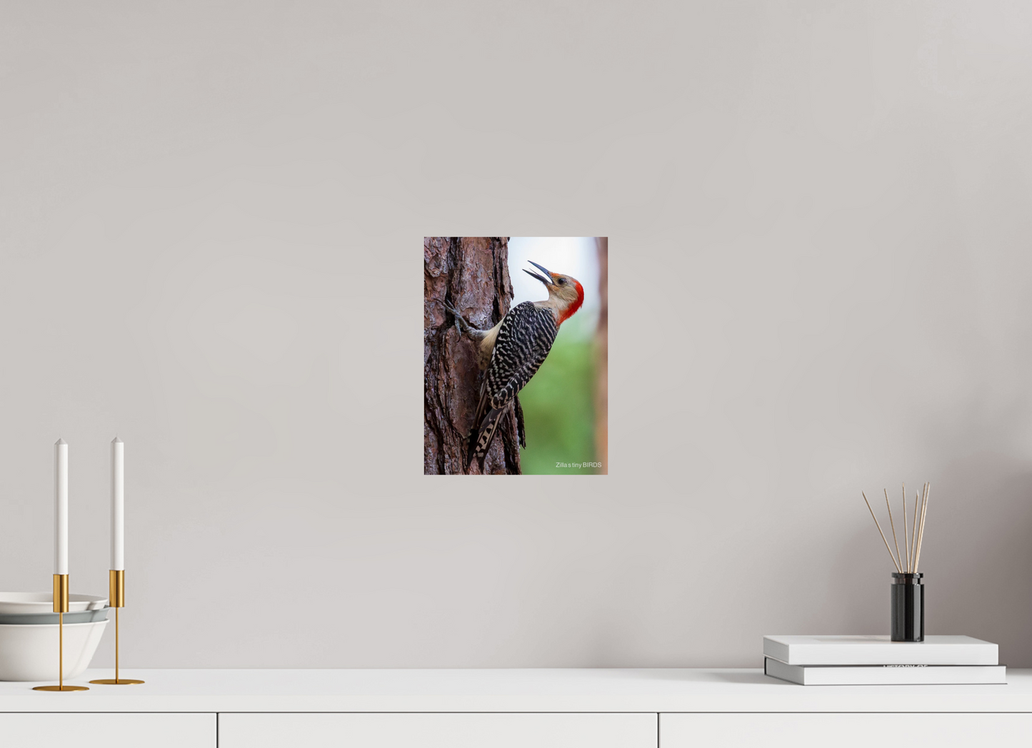 8 x 10.4″, Photo Print On Fuji Crystal DP II Zillas Zoom Image 475