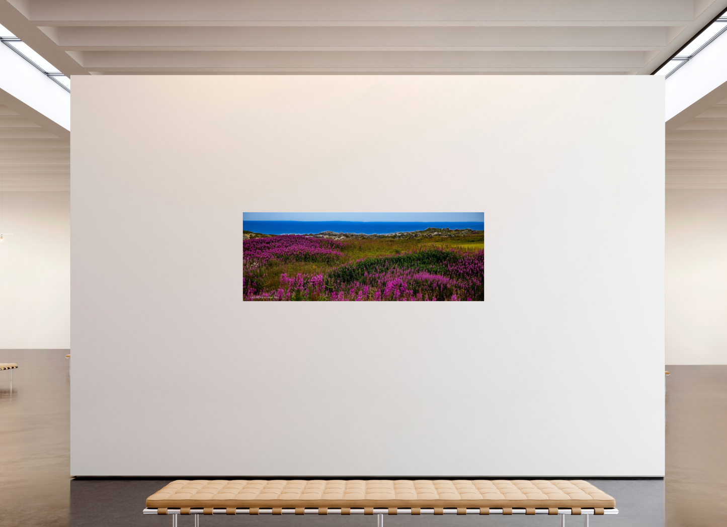 83.9 x 31″, Photo Print Under Acrylic Glass Zillas Zoom Image 92