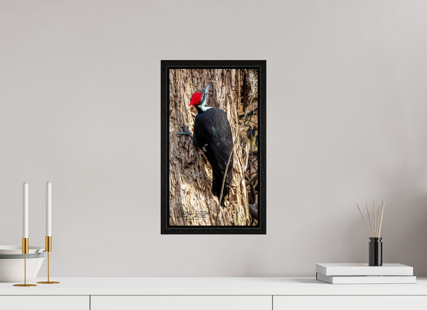 9 x 16″, Floater Frame Zillas Zoom Image 425