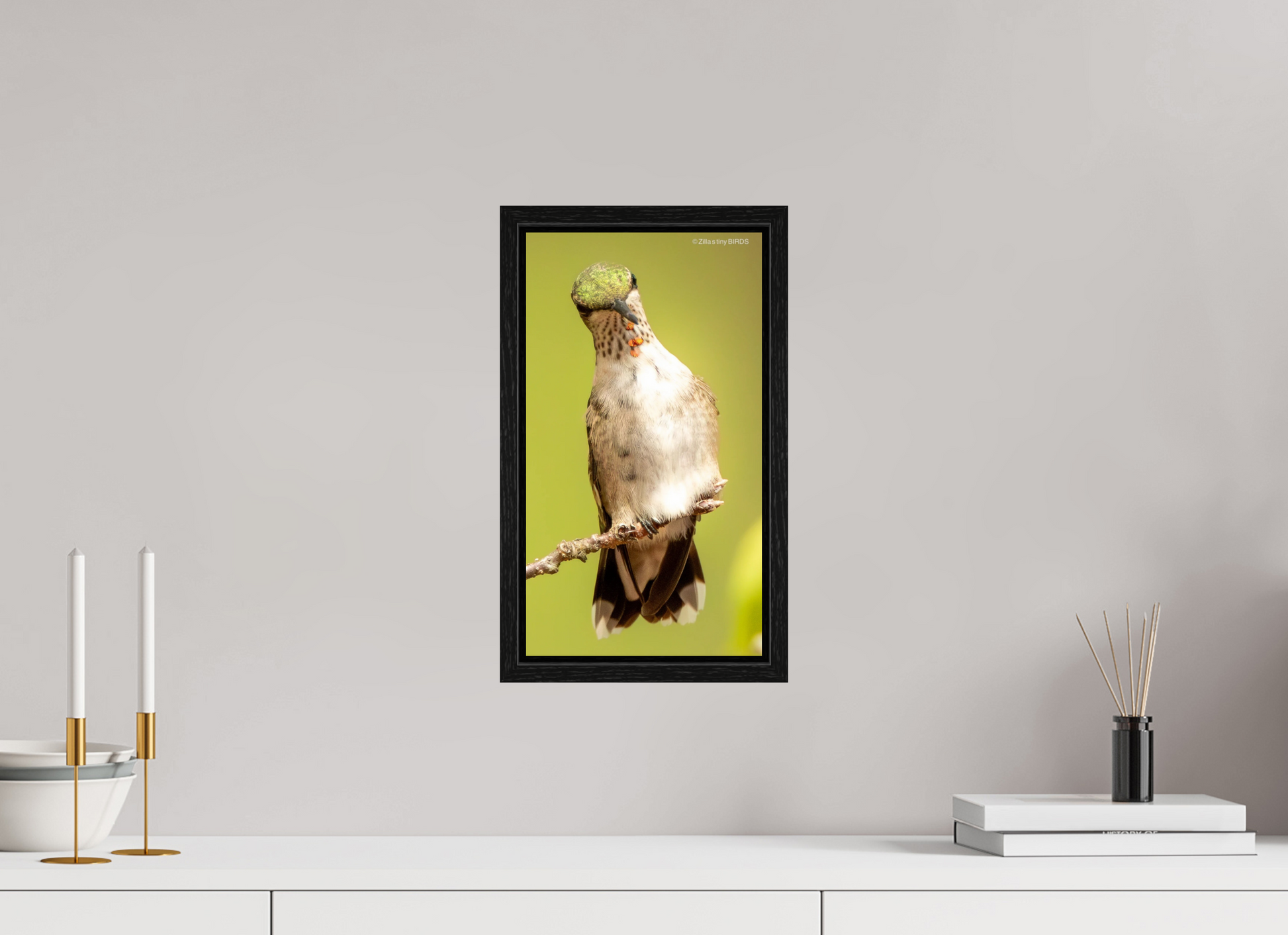 8 x 14.3″, Floater Frame Zillas Zoom Image 444