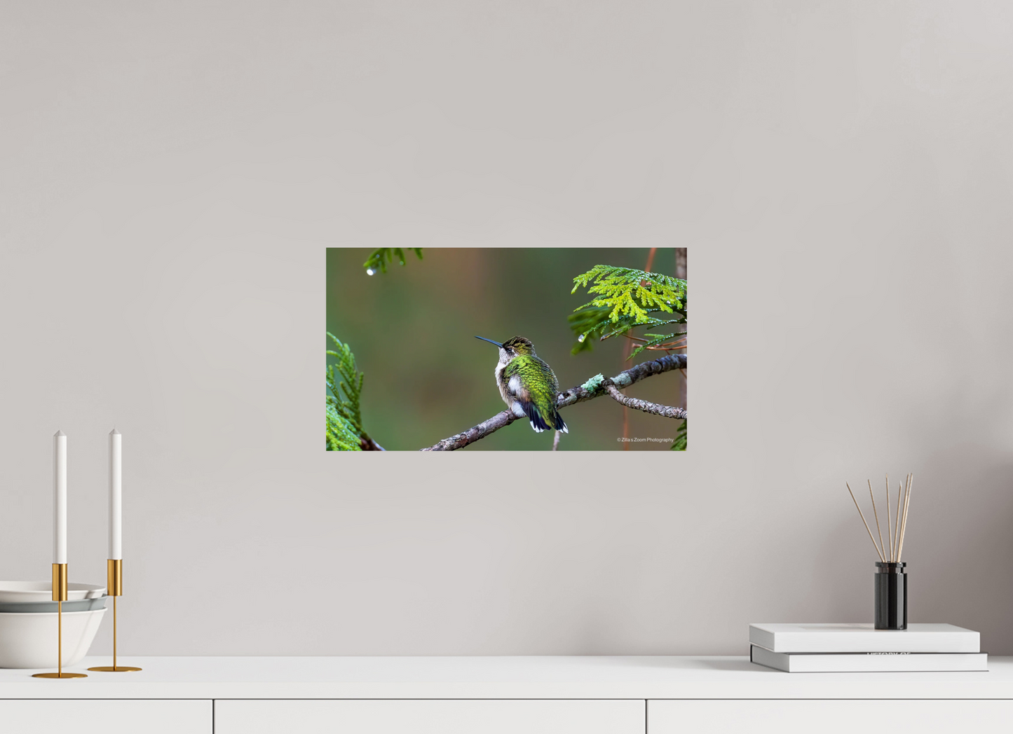 16 x 9″, Photo Print On Fuji Crystal DP II Zillas Zoom Image 309