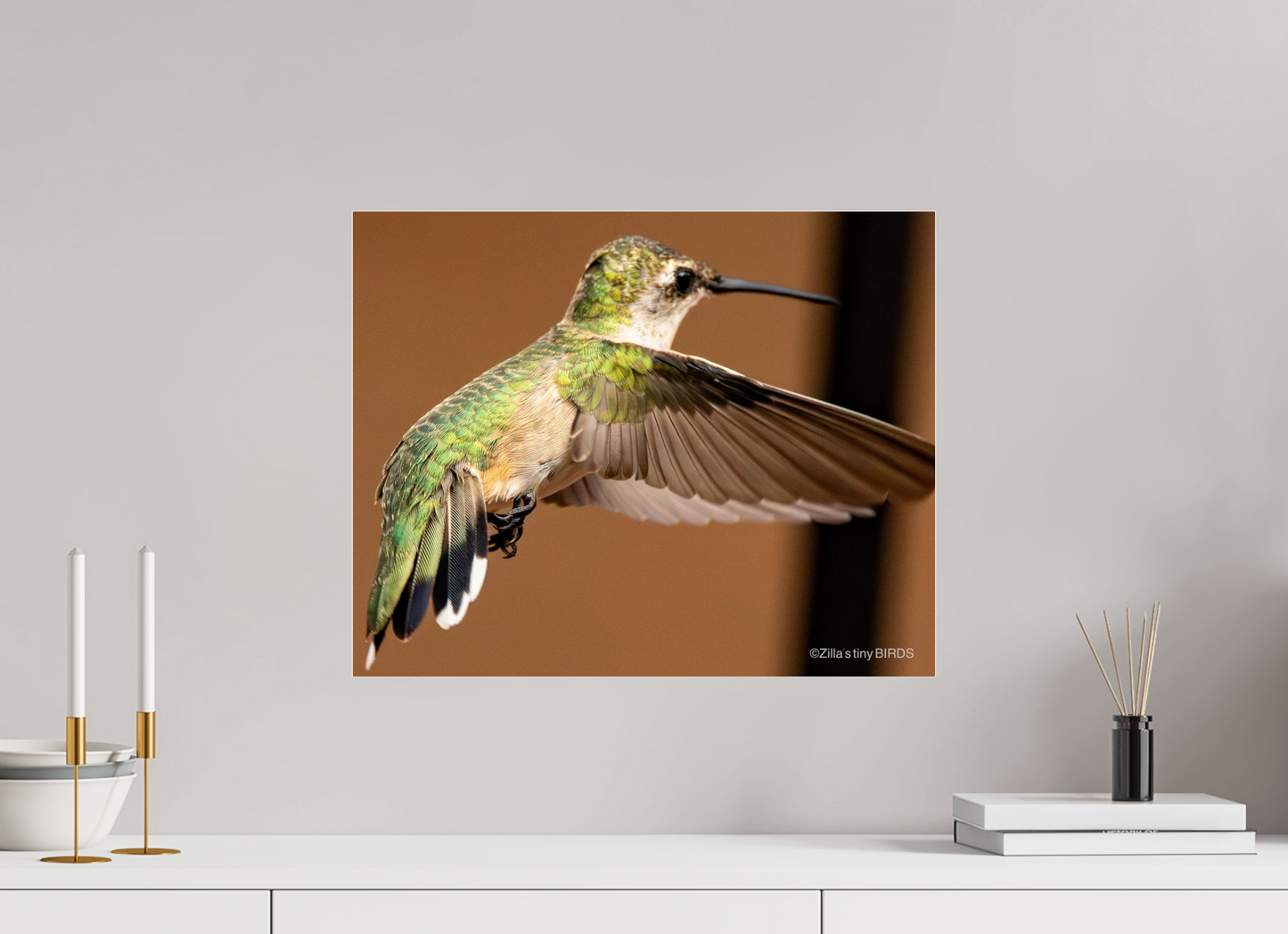 20 x 16″, Photo Print Under Acrylic Glass Zillas Zoom Image 336