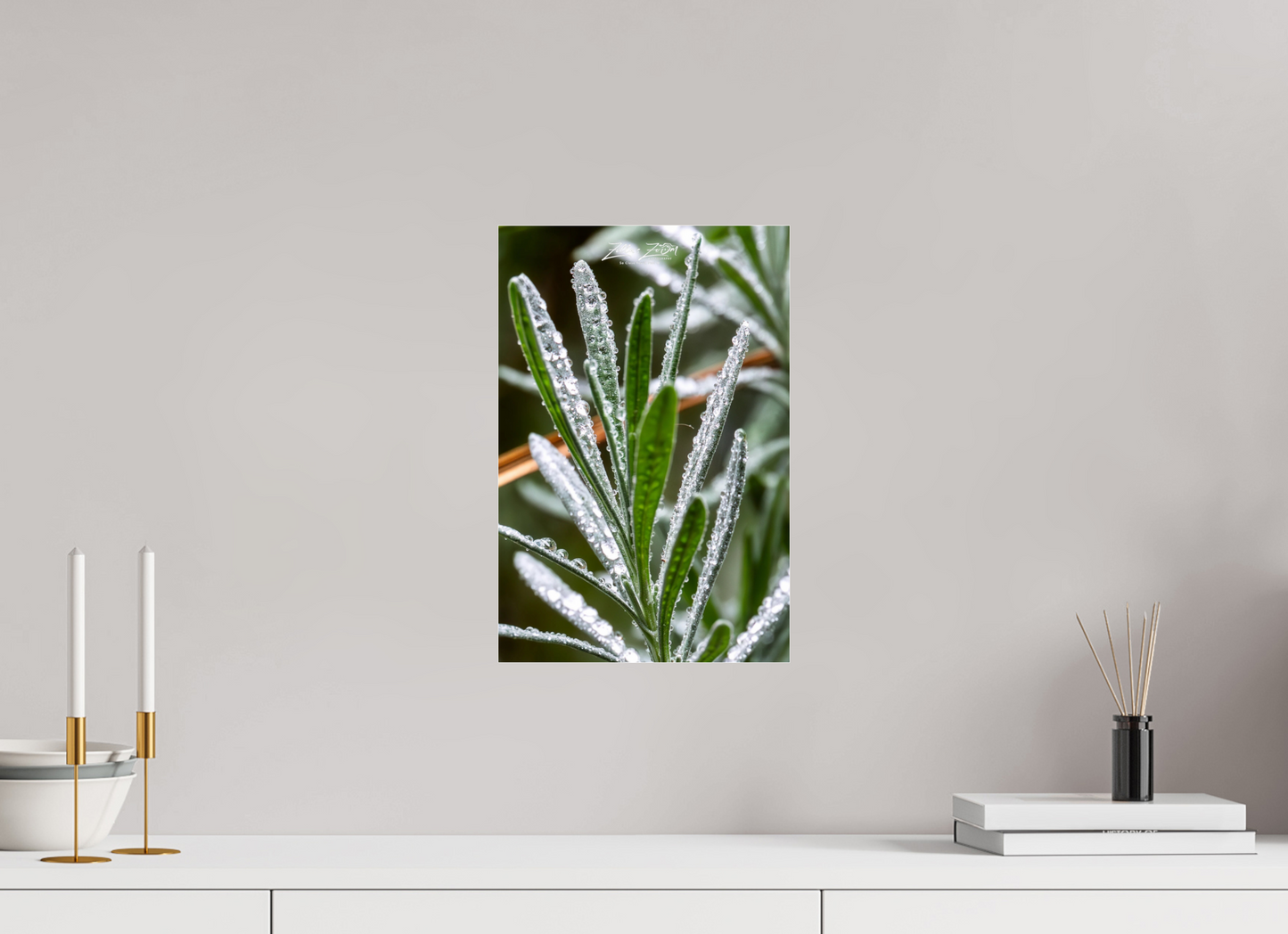 10 x 15″, Photo Print Under Acrylic Glass Zillas Zoom Image 110