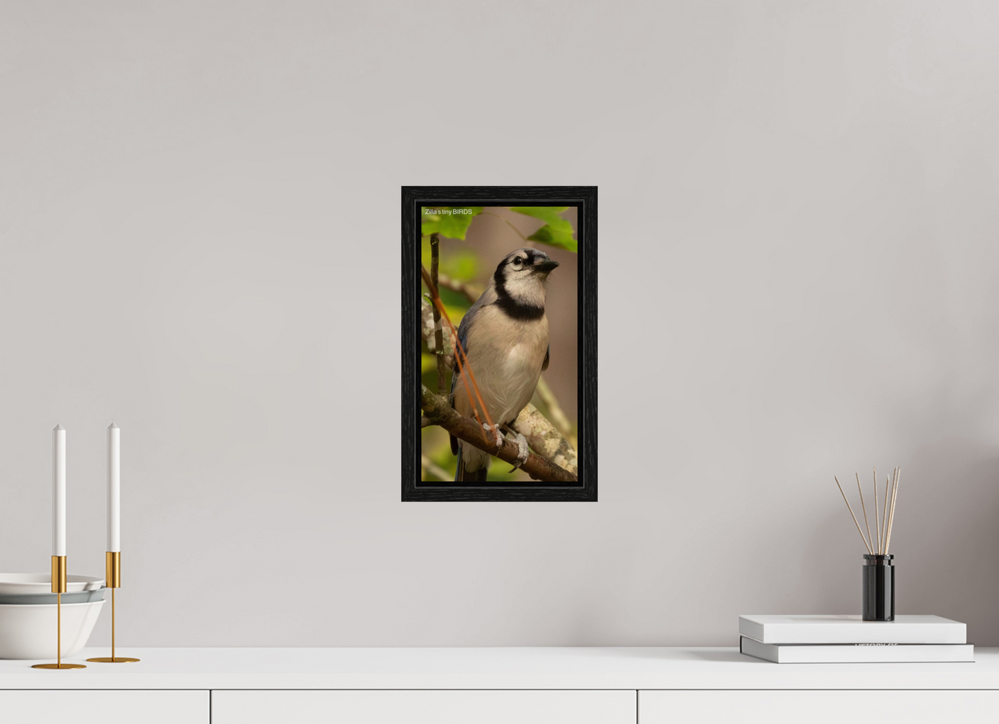 6.8 x 12″, Floater Frame Zillas Zoom Image 493