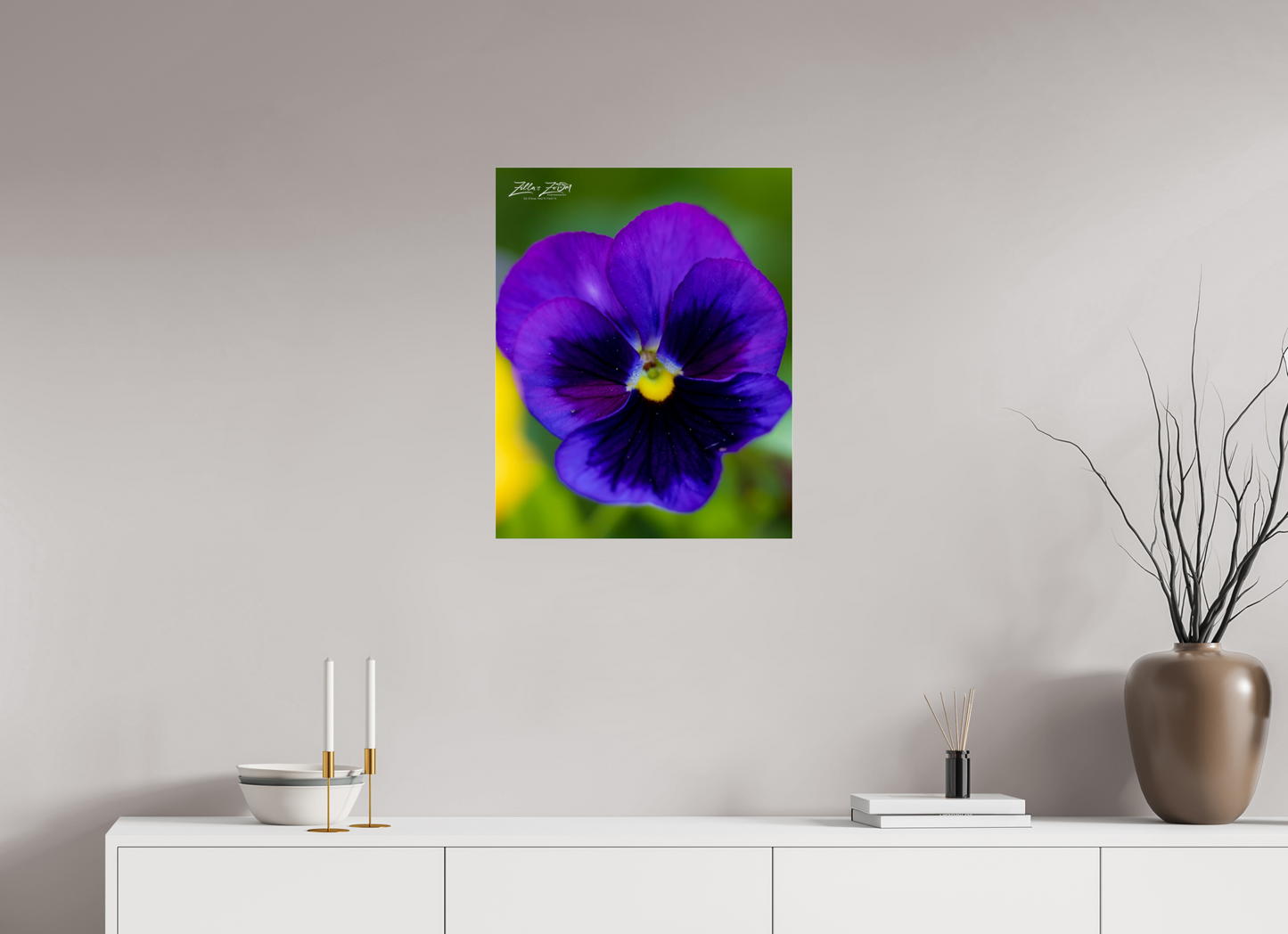20 x 25″, Photo Print Under Acrylic Glass Zillas Zoom Image 117