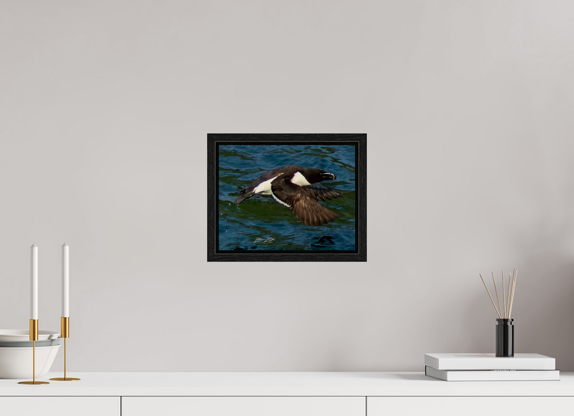 10.4 x 8″, Floater Frame Zillas Zoom Image 332