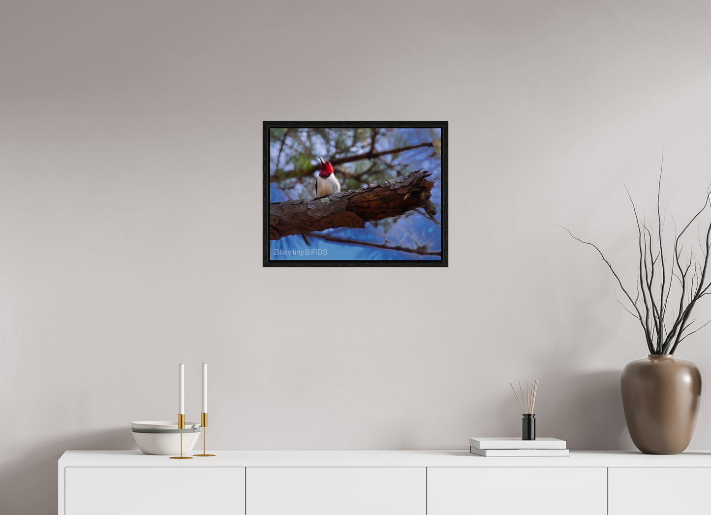 20.7 x 16″, Floater Frame Zillas Zoom Image 375