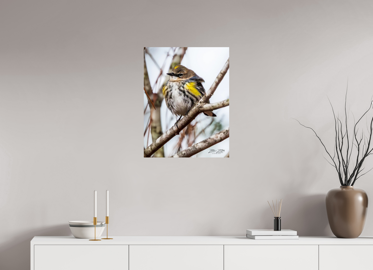 20 x 25.9″, Photo Print On Fuji Crystal DP II Zillas Zoom Image 501