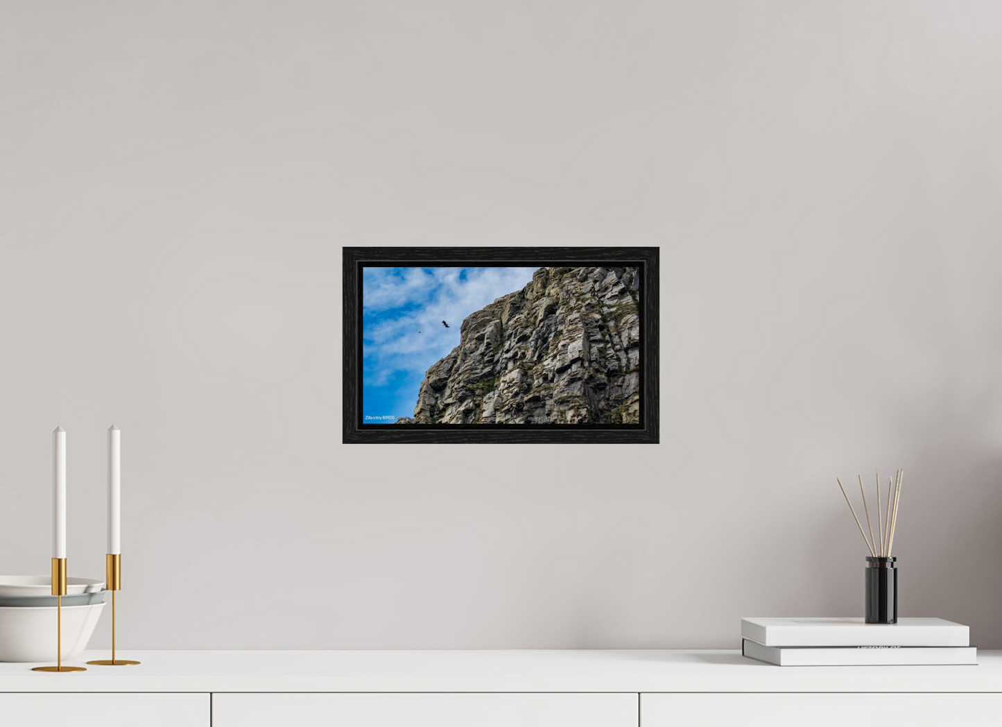 12 x 6.8″, Floater Frame Zillas Zoom Image 215