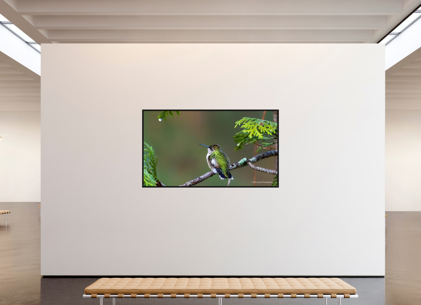 80 x 45″, Floater Frame Zillas Zoom Image 309
