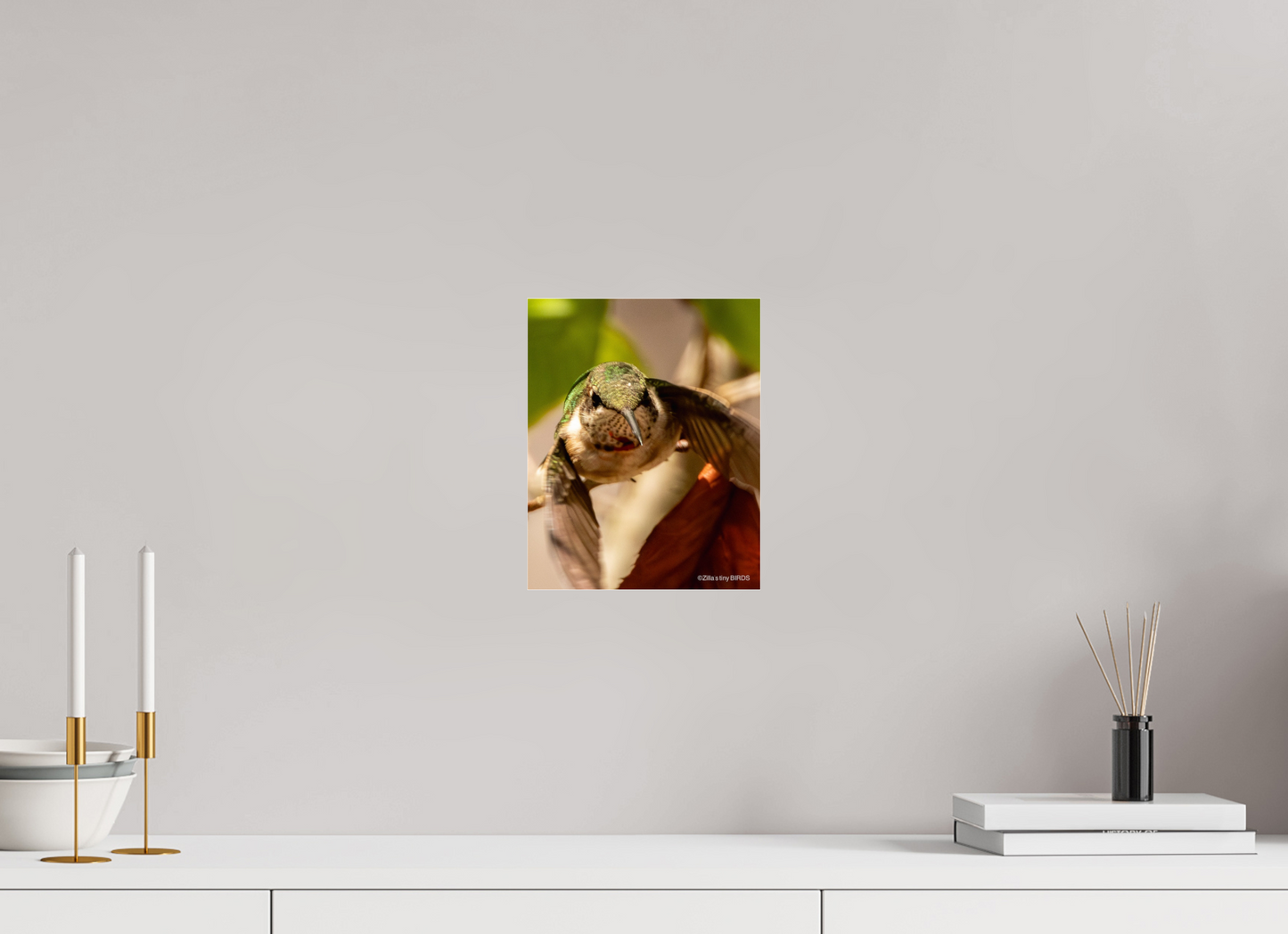 8 x 10″, Photo Print Under Acrylic Glass Zillas Zoom Image 504