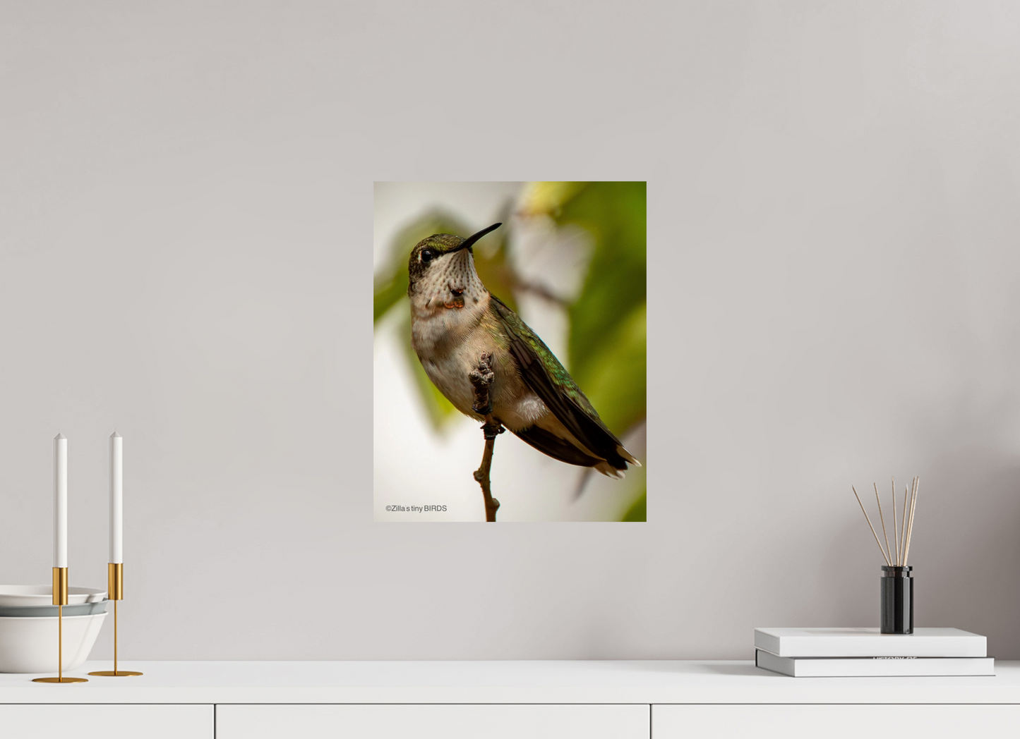 12 x 15″, Photo Print On Fuji Crystal DP II Zillas Zoom Image 468