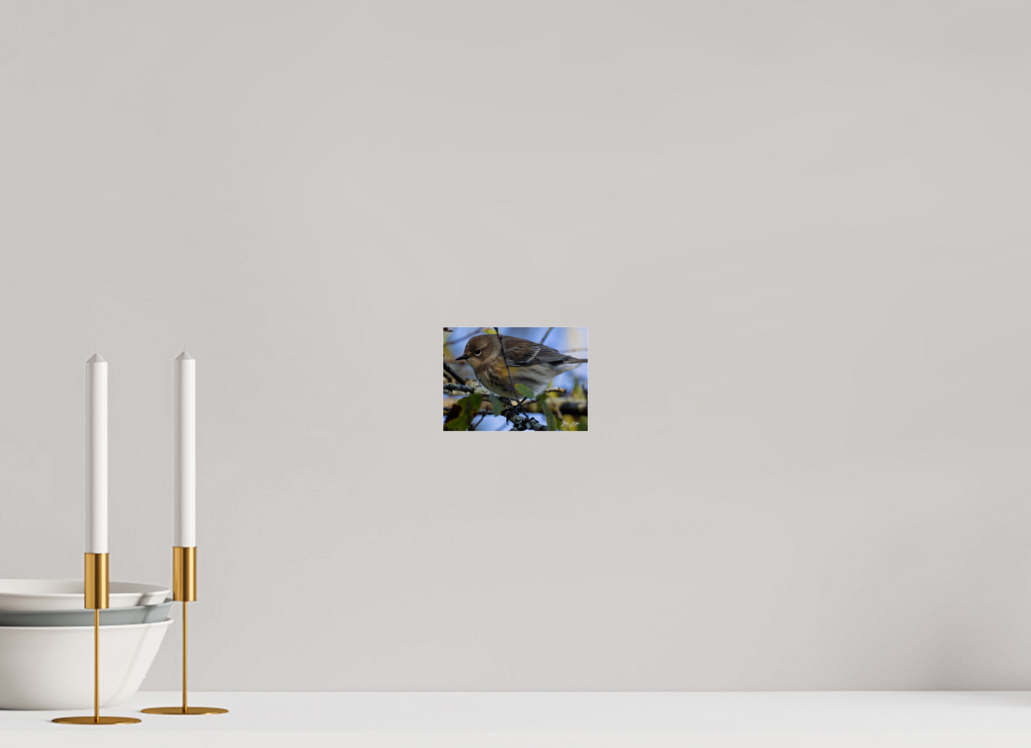 5.6 x 4″, Photo Print Under Acrylic Glass Zillas Zoom Image 357