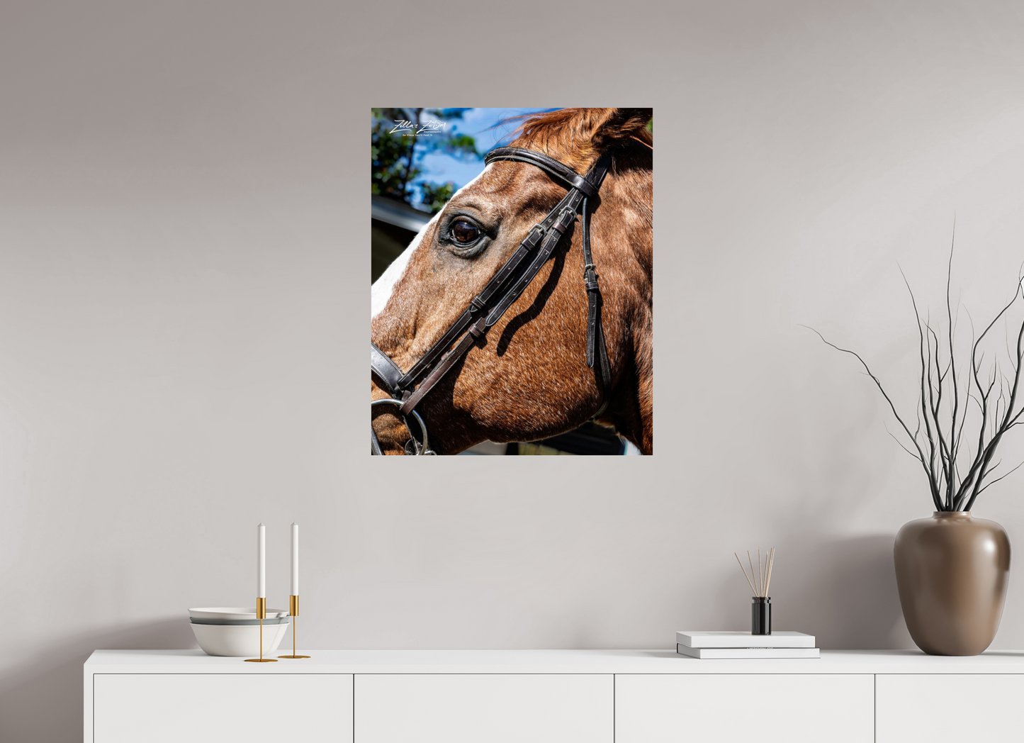 24 x 29.6″, Photo Print On Fuji Crystal DP II Zillas zoom image 149