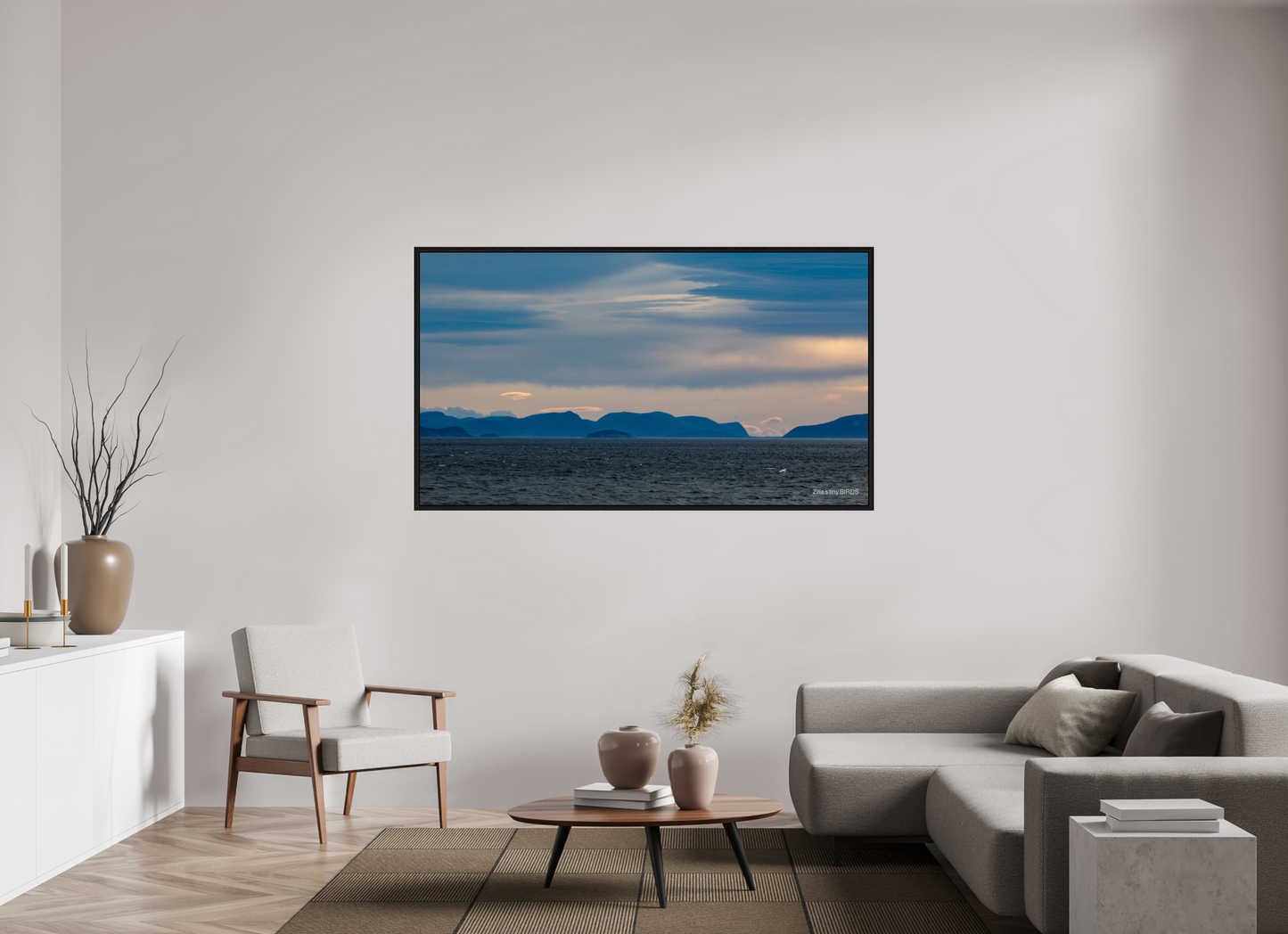 70 x 39.4″, Floater Frame Zillas Zoom Image 216