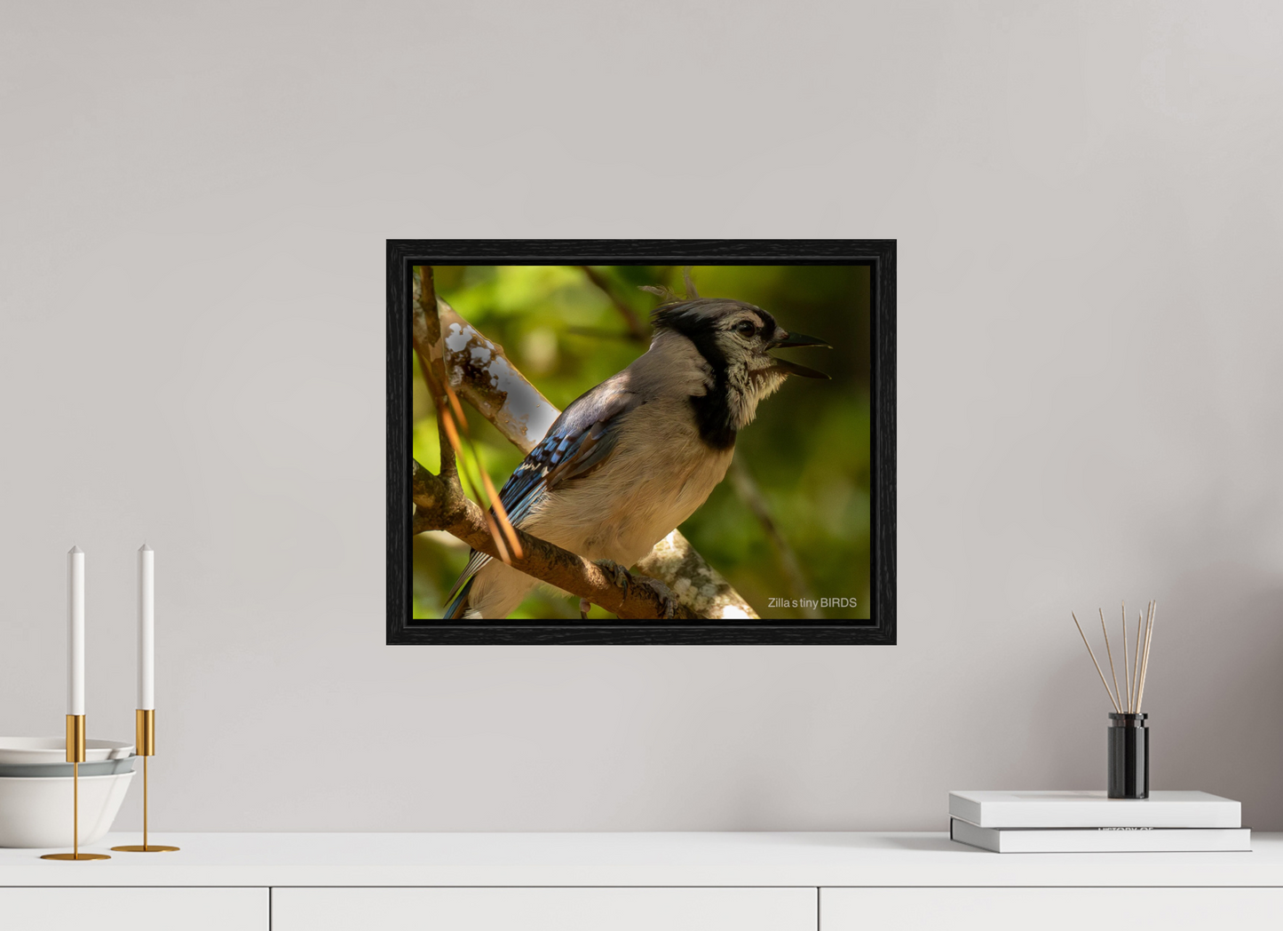 15.6 x 12″, Floater Frame Zillas Zoom Image 378