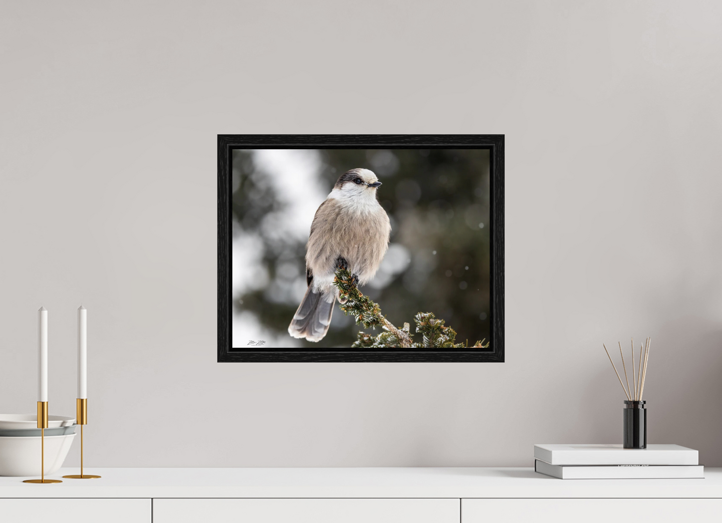 15.6 x 12″, Floater Frame Zillas Zoom Image 353