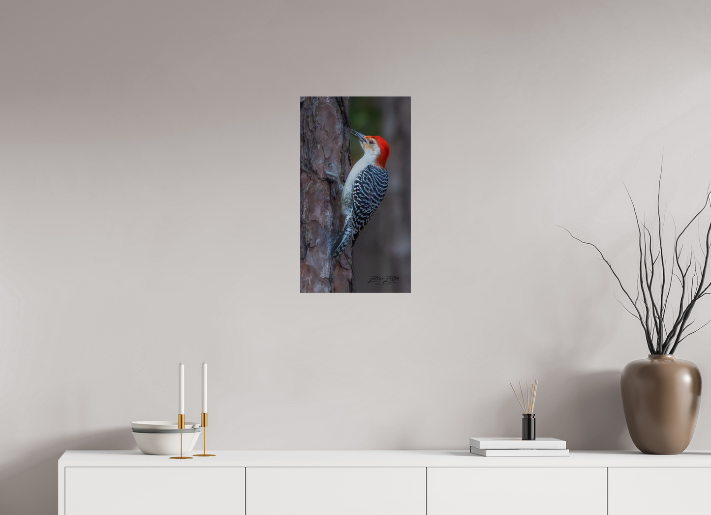 13.5 x 24″, Photo Print Under Acrylic Glass Zillas Zoom Image 445