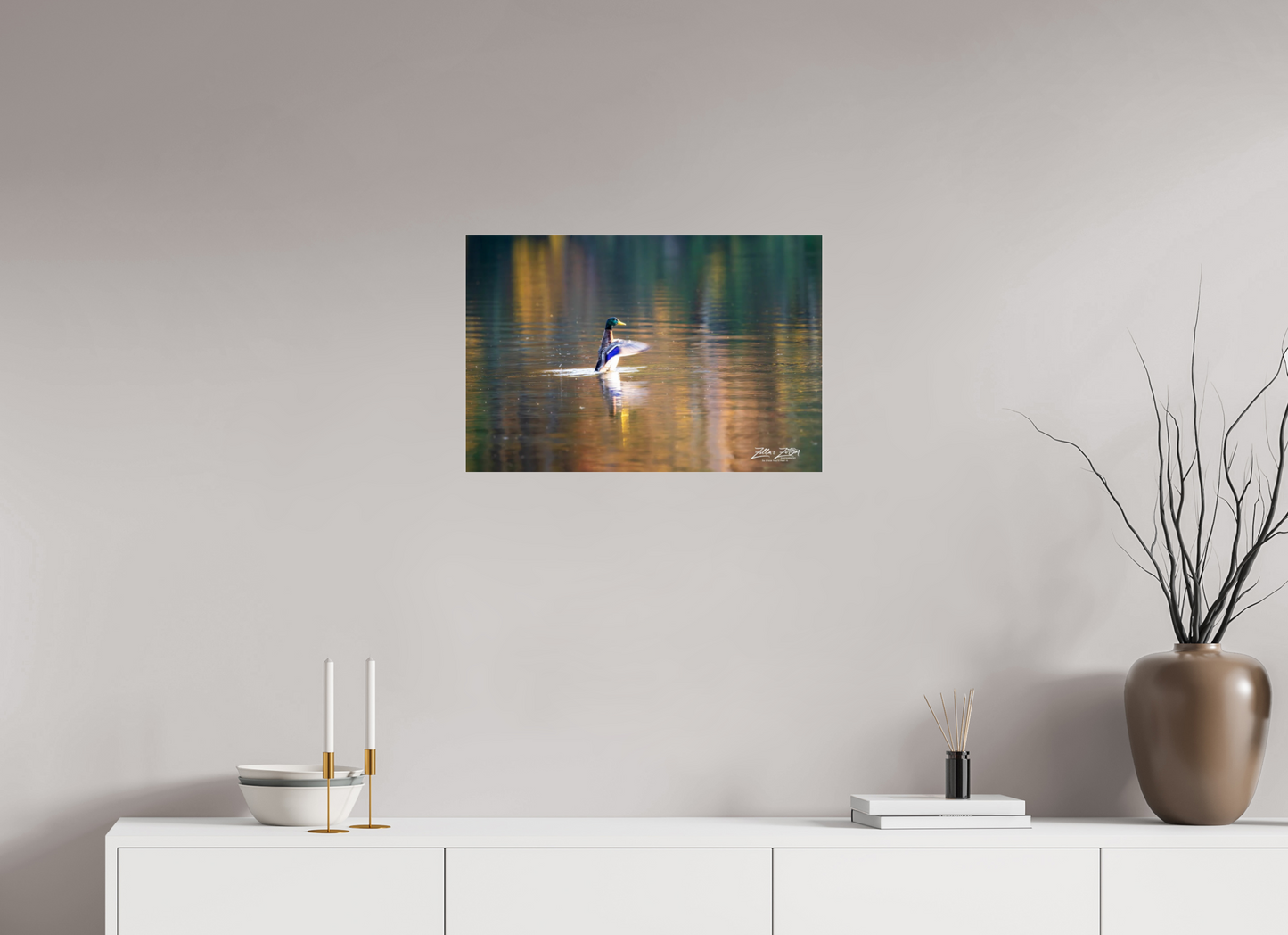 24 x 16″, Photo Print Under Acrylic Glass Zillas Zoom Image 345