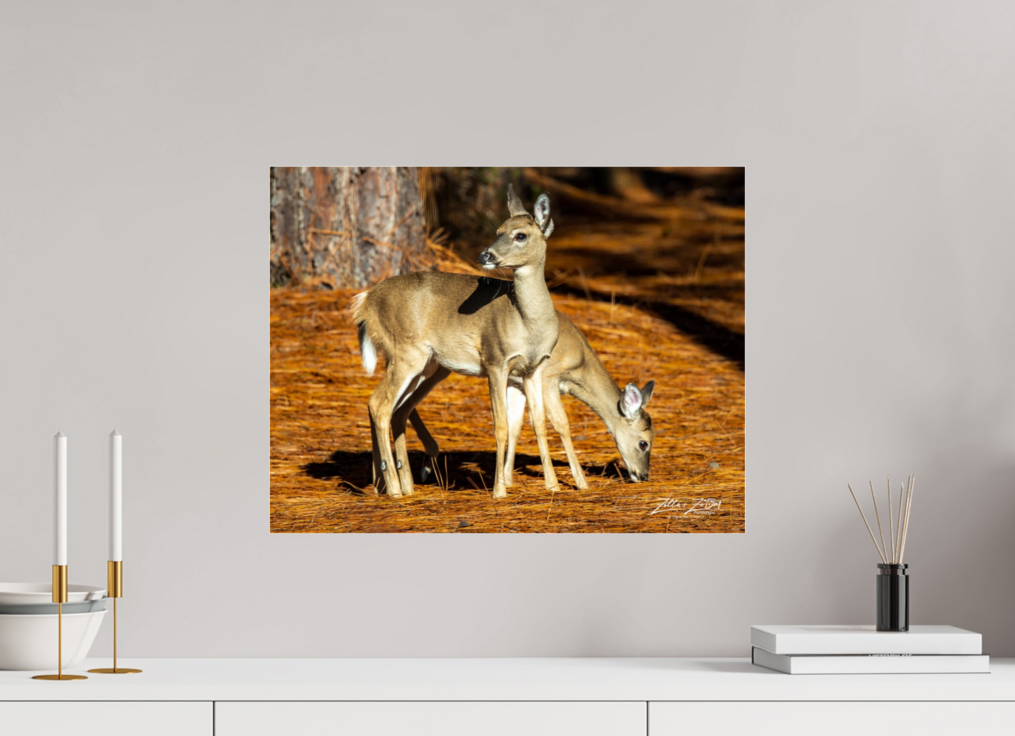 20.7 x 16″, Photo Print Under Acrylic Glass Zillas zoom image 144