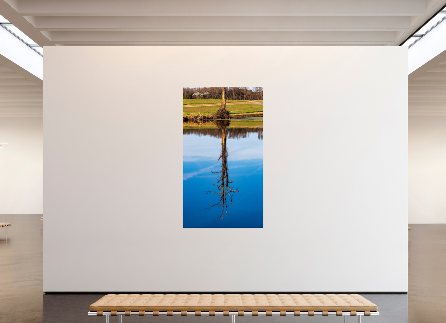 45 x 80″, Photo Print Under Acrylic Glass Zillas Zoom Image 247