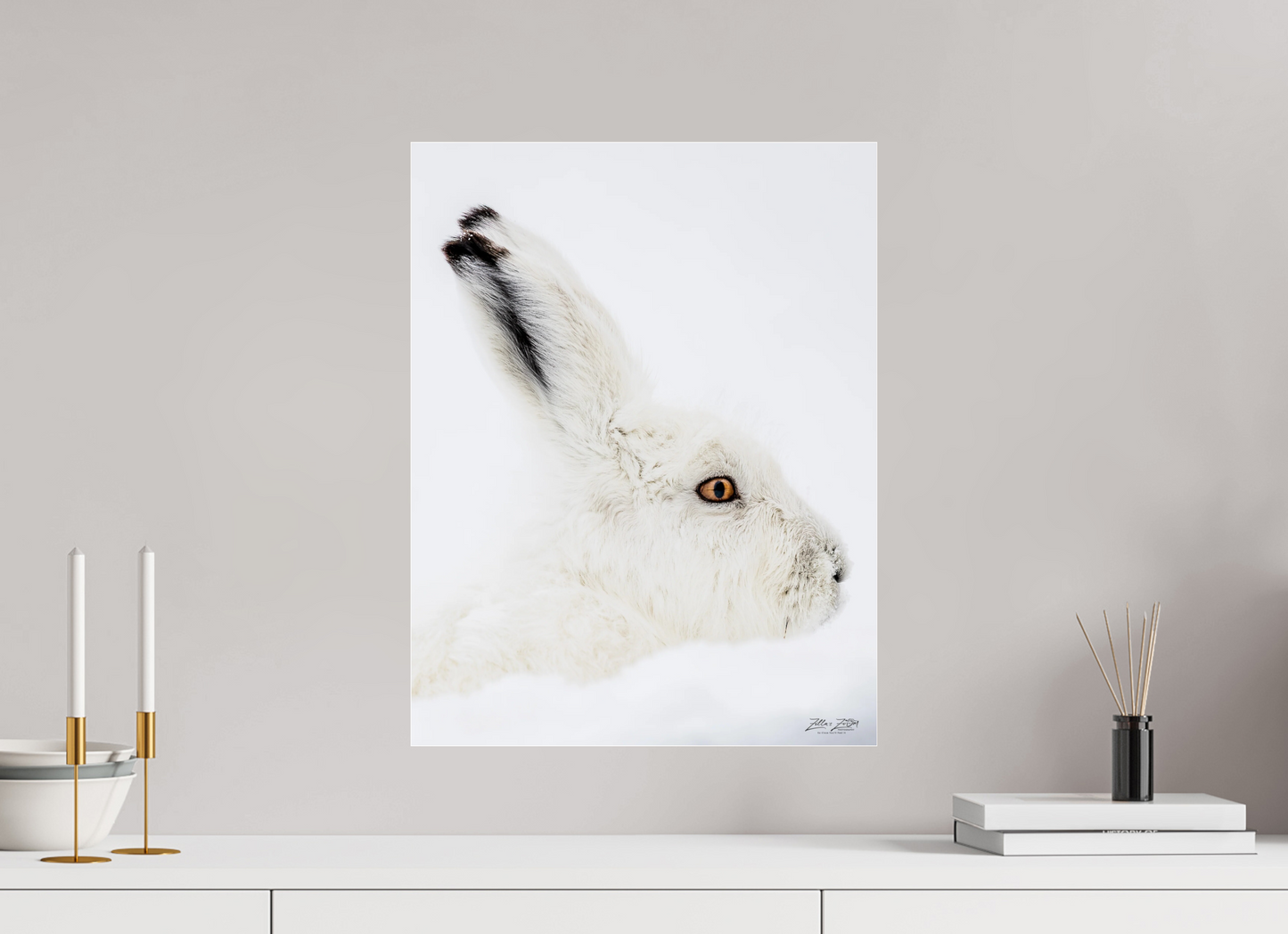 16 x 20.7″, Photo Print Under Acrylic Glass Zillas zoom image 150