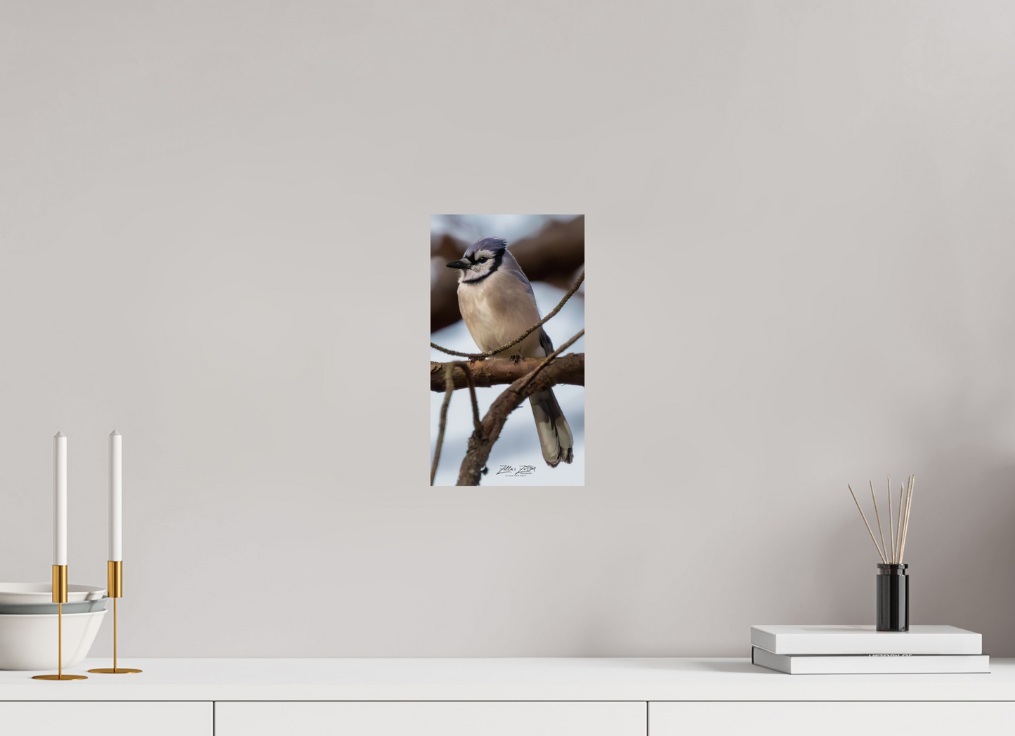 6.8 x 12″, Photo Print On Fuji Crystal DP II Zillas Zoom Image 446