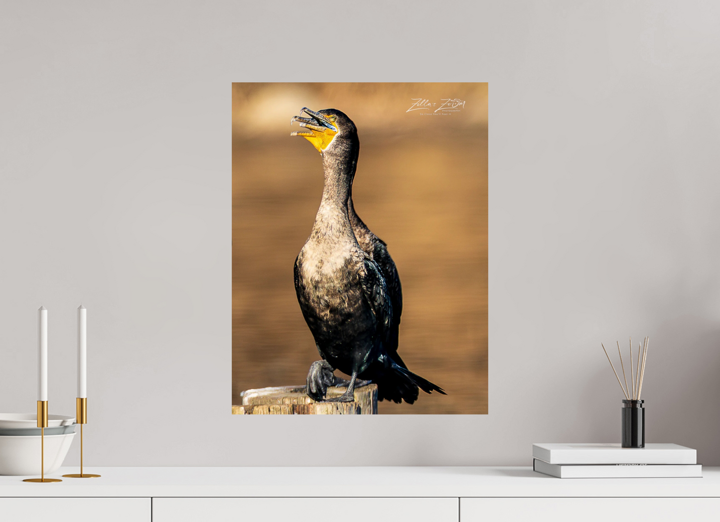 16 x 20.7″, Photo Print On Fuji Crystal DP II Zillas Zoom Image 421