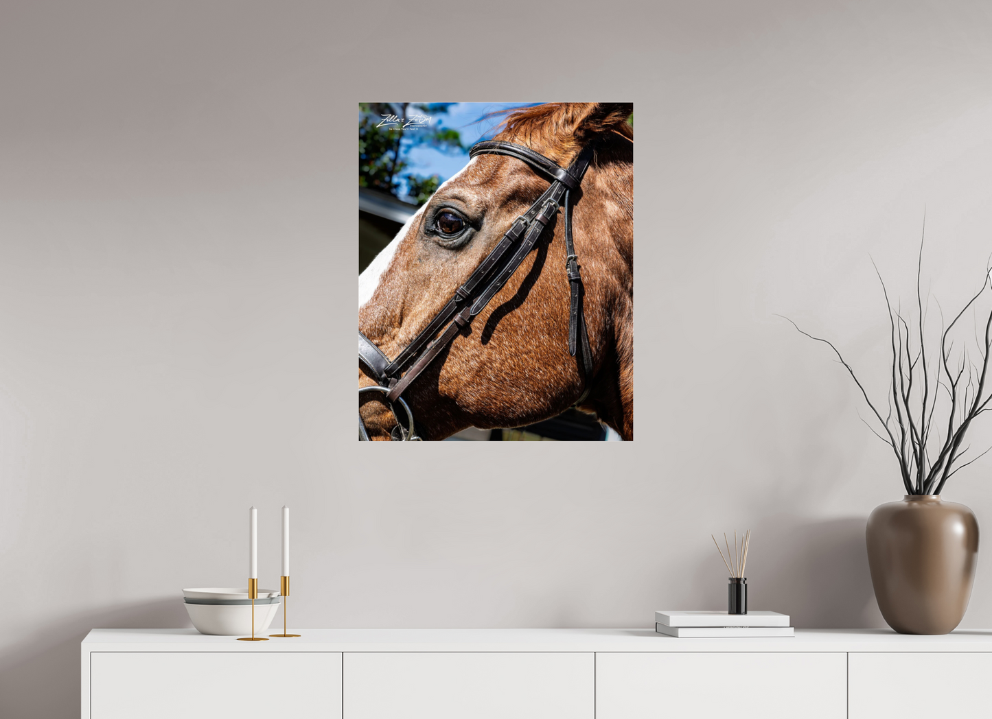 24 x 29.6″, Photo Print Under Acrylic Glass Zillas zoom image 149