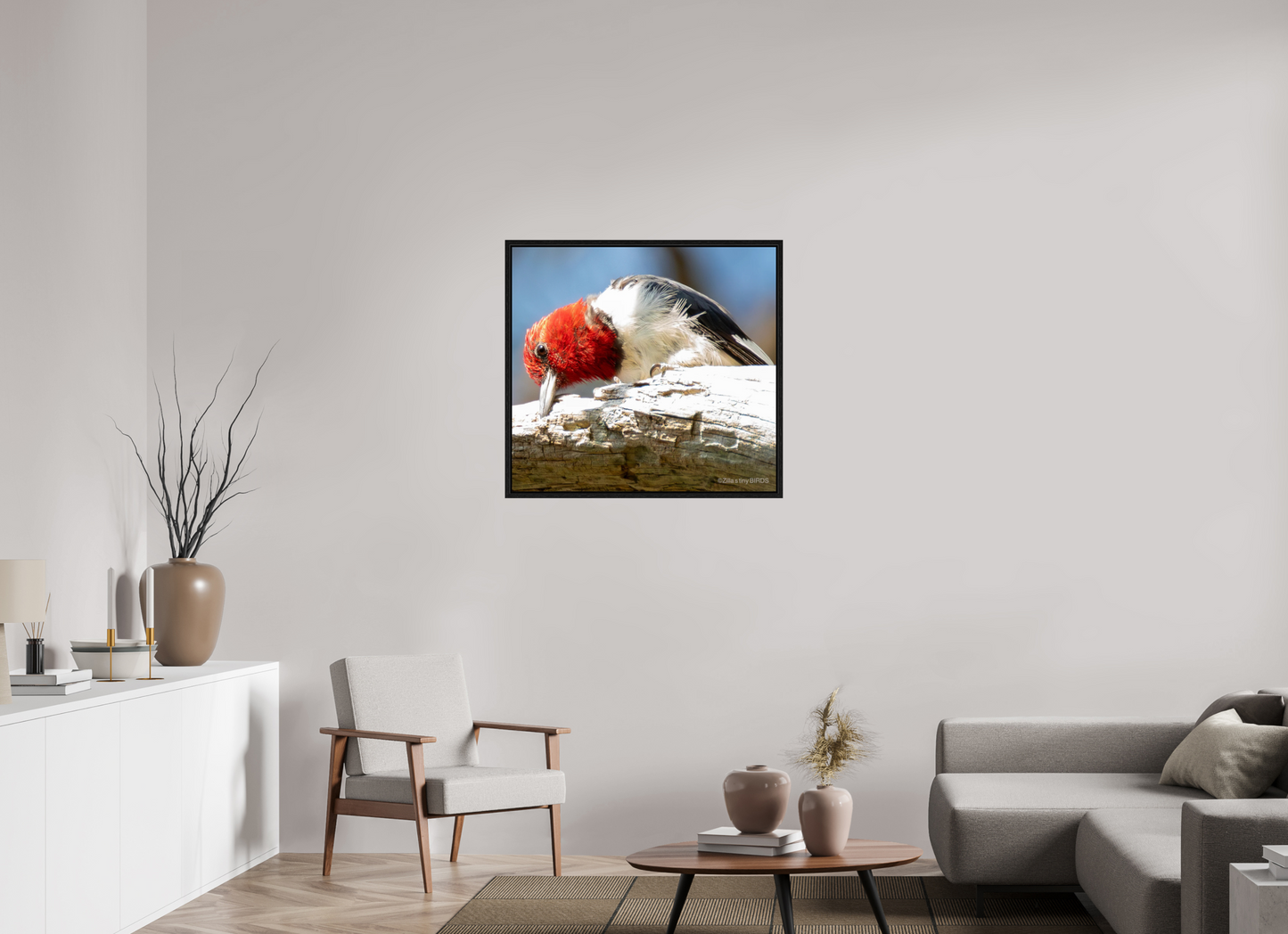 33.5 x 31″, Floater Frame Zillas Zoom Image 270