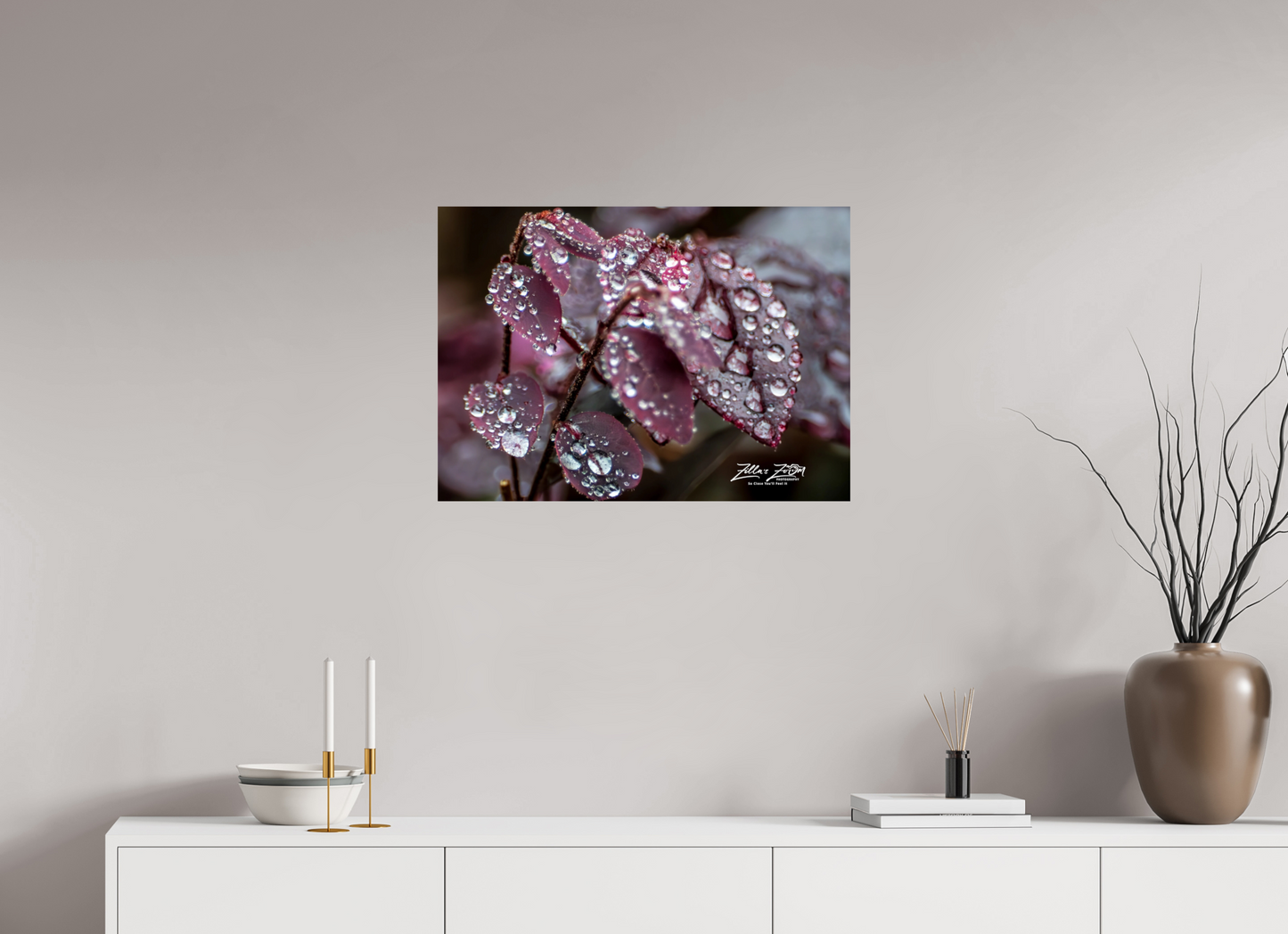 28 x 20″, Photo Print On Fuji Crystal DP II Zillas Zoom Image 100