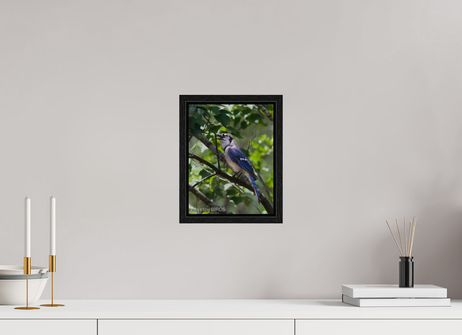8 x 10.4″, Floater Frame Zillas Zoom Image 469