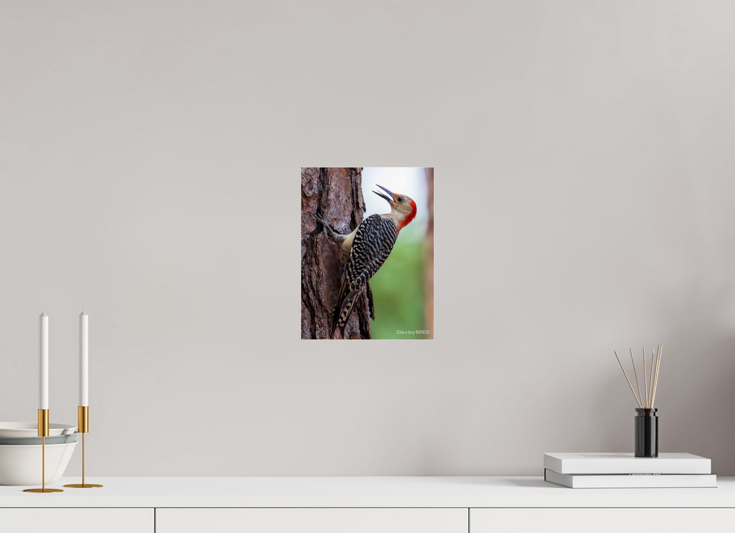 8 x 10.4″, Photo Print Under Acrylic Glass Zillas Zoom Image 475