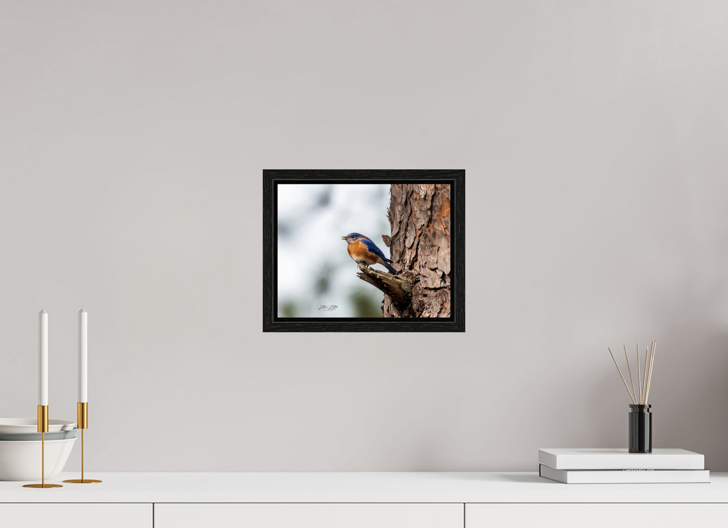 10.4 x 8″, Floater Frame Zillas Zoom Image 349