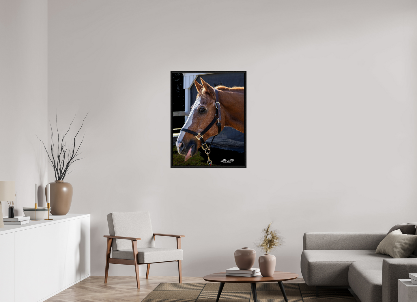 28 x 36.2″, Floater Frame Zillas zoom image 157