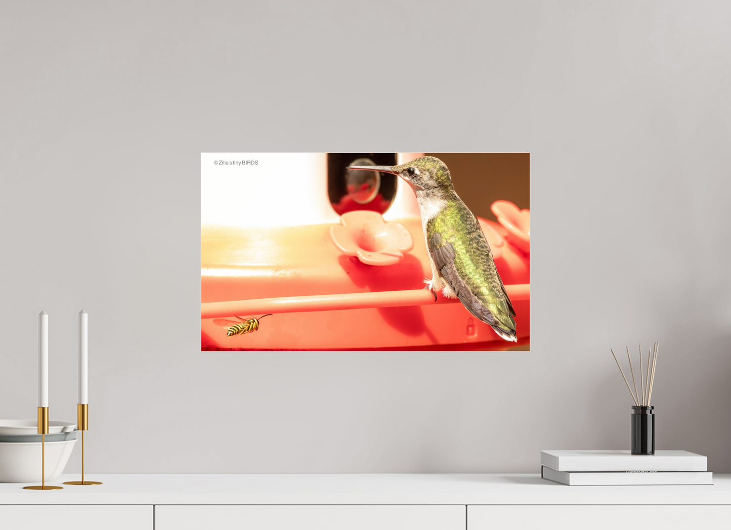 19.9 x 12″, Photo Print Under Acrylic Glass Zillas Zoom Image 320