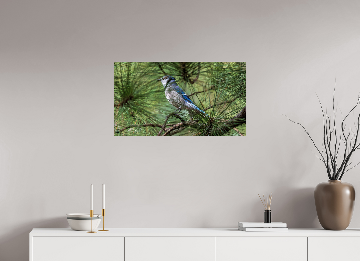32 x 18″, Photo Print On Fuji Crystal DP II Zillas Zoom Image 344