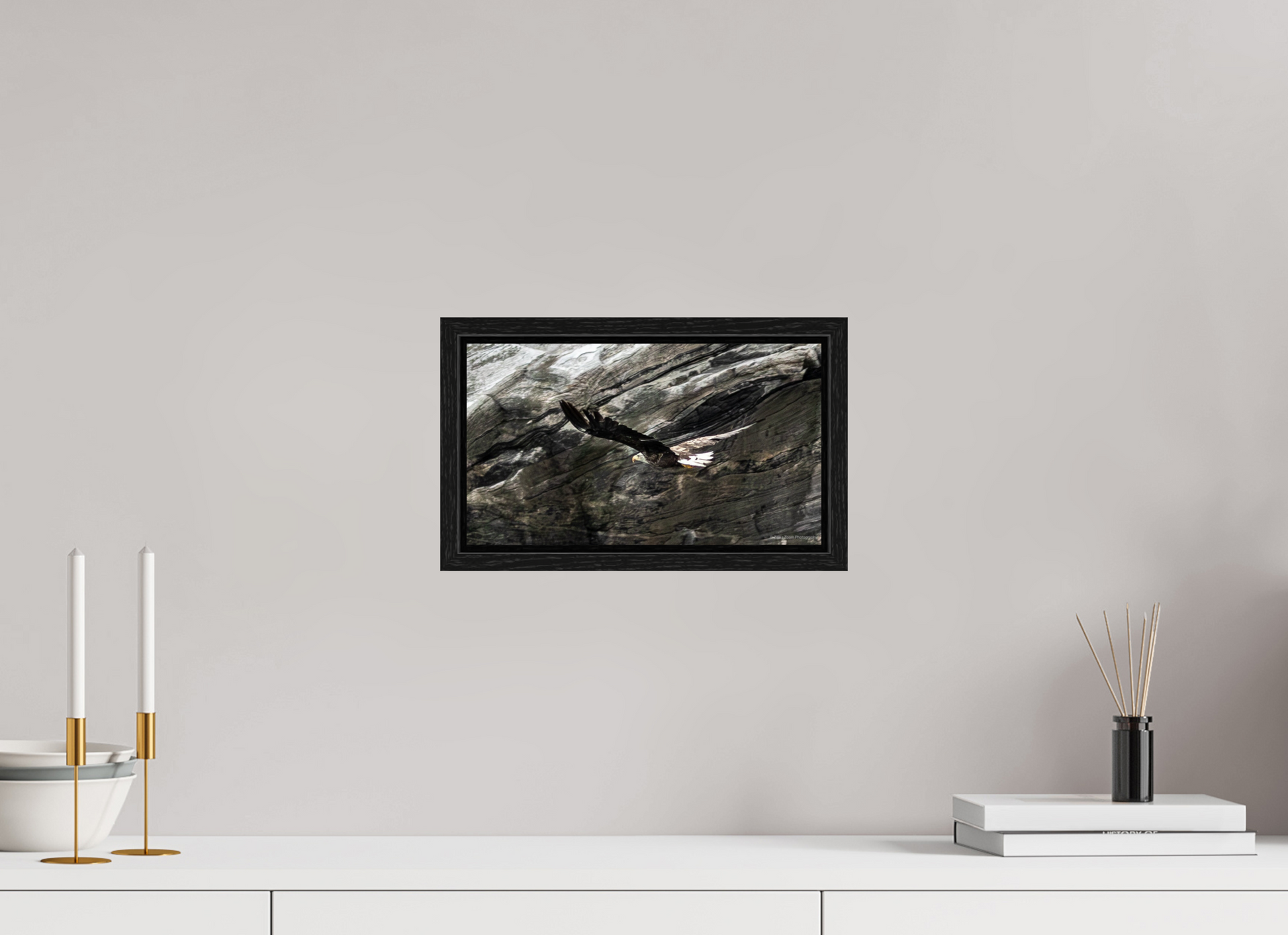 12 x 6.8″, Floater Frame Zillas Zoom Image 323