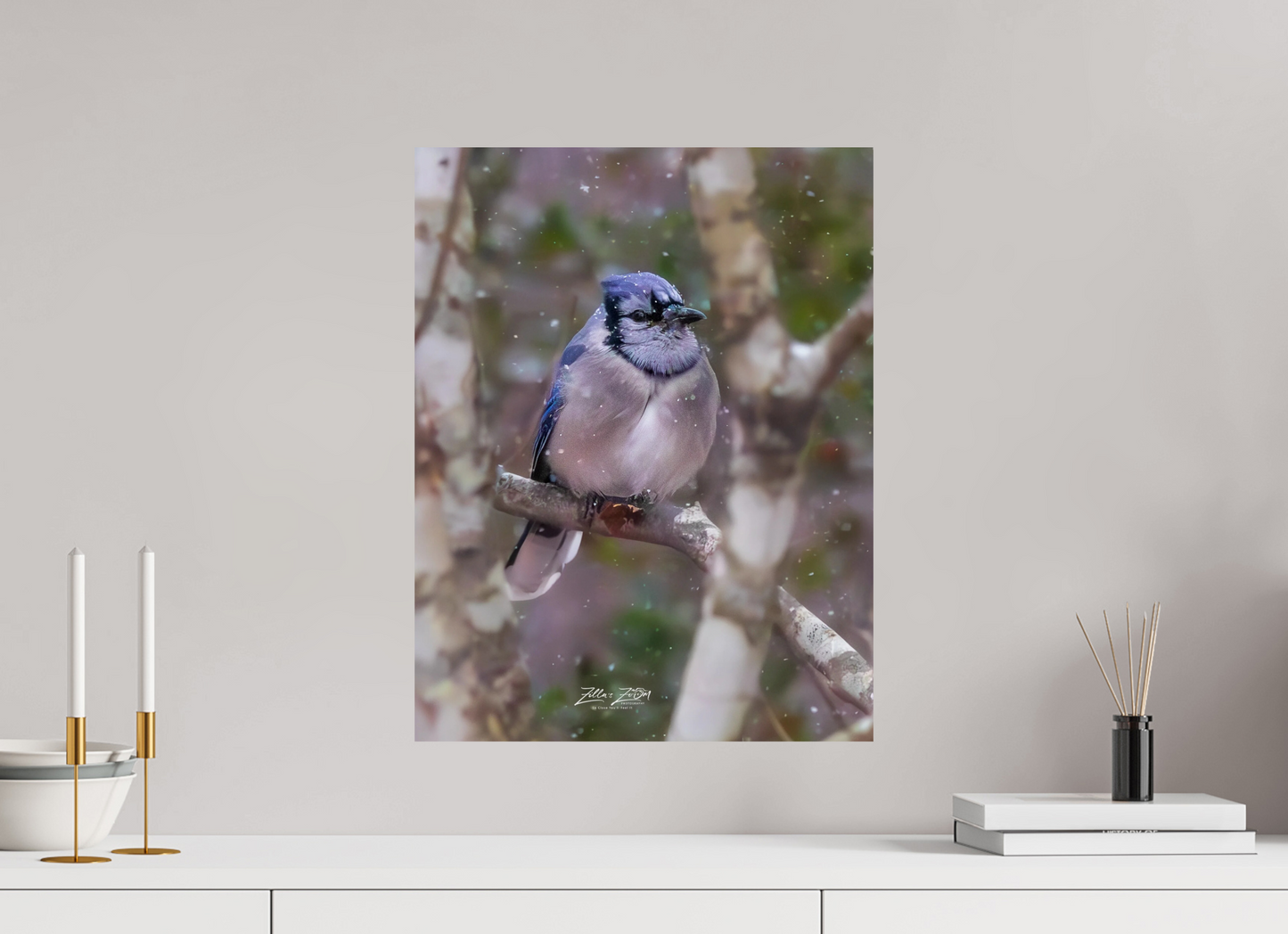 16 x 20.7″, Photo Print On Fuji Crystal DP II Zillas Zoom Image 438