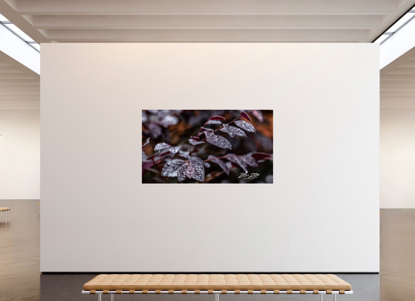80 x 45″, Photo Print On Fuji Crystal DP II Zillas Zoom Image 88